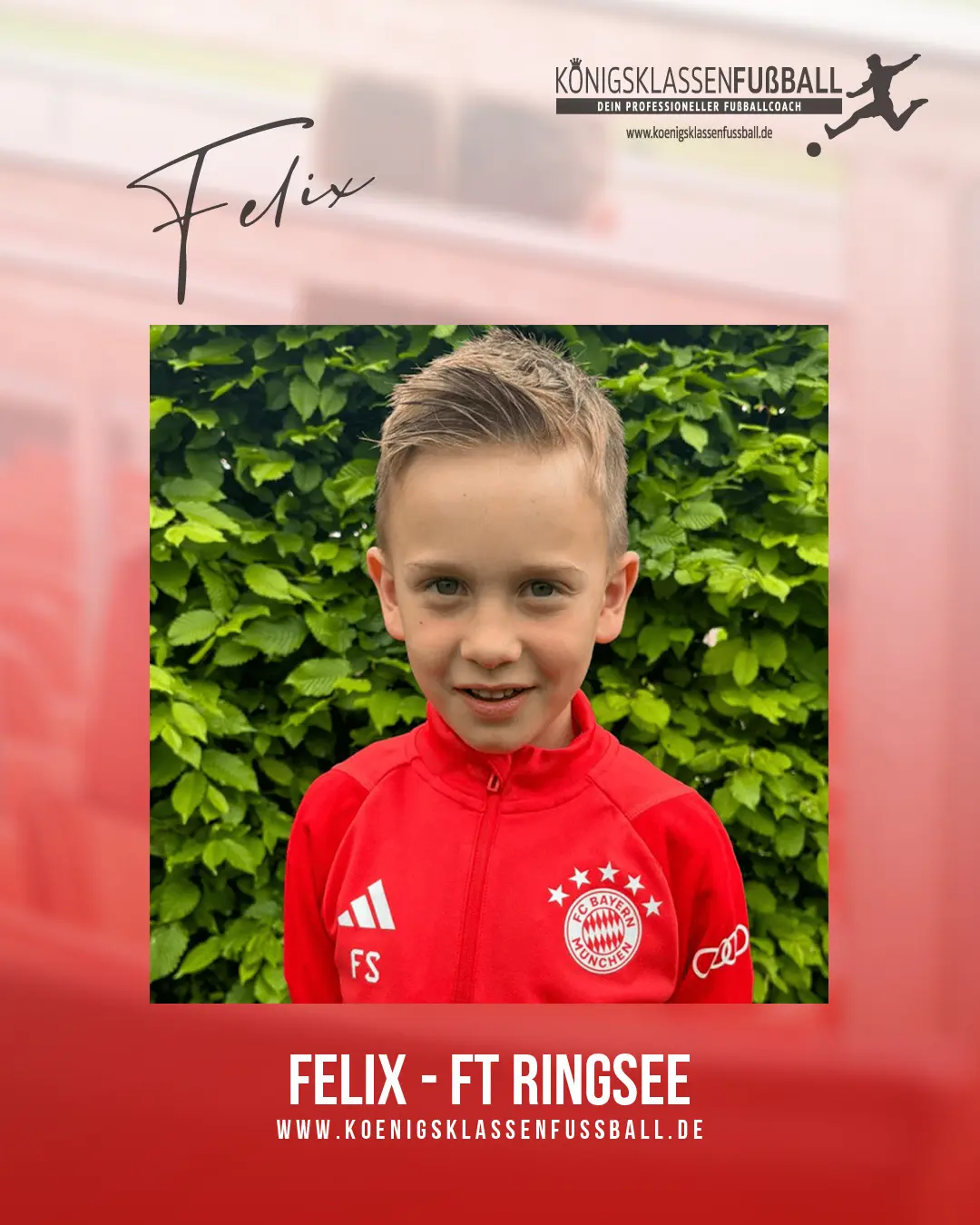 Felix – FT Ringsee